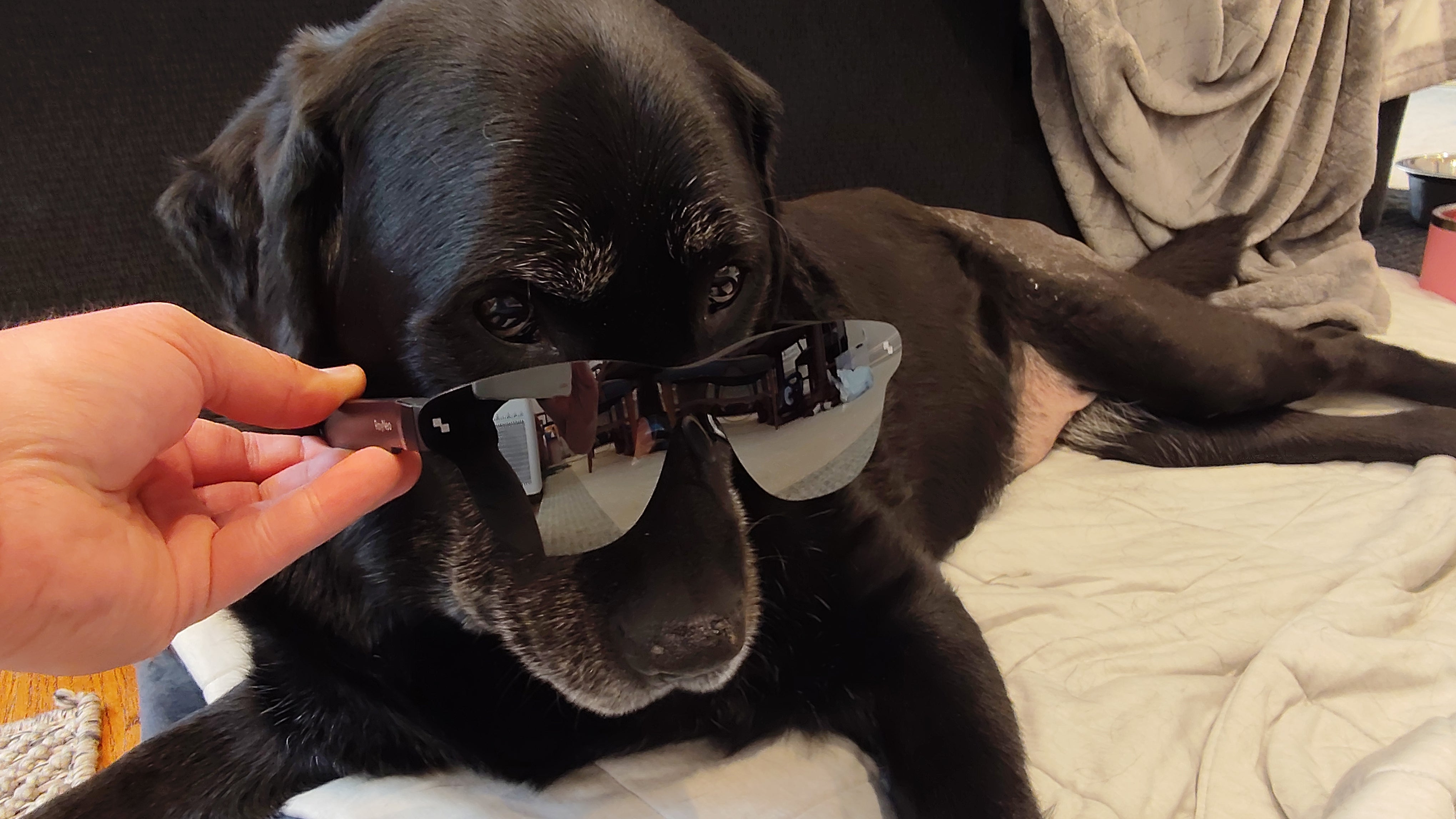 Early Access, Early Praise: What Testers Say About RayNeo Air 3s Pro - RayNeo